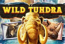 Wild Tundra Slot Review